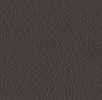 99 Light Bronze